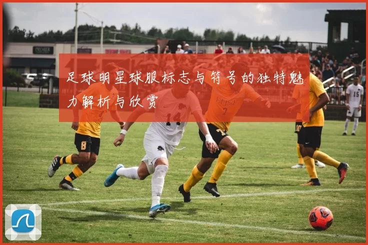 足球明星球服标志与符号的独特魅力解析与欣赏