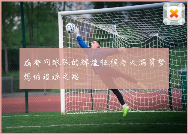 成都网球队的辉煌征程与大满贯梦想的追逐之路