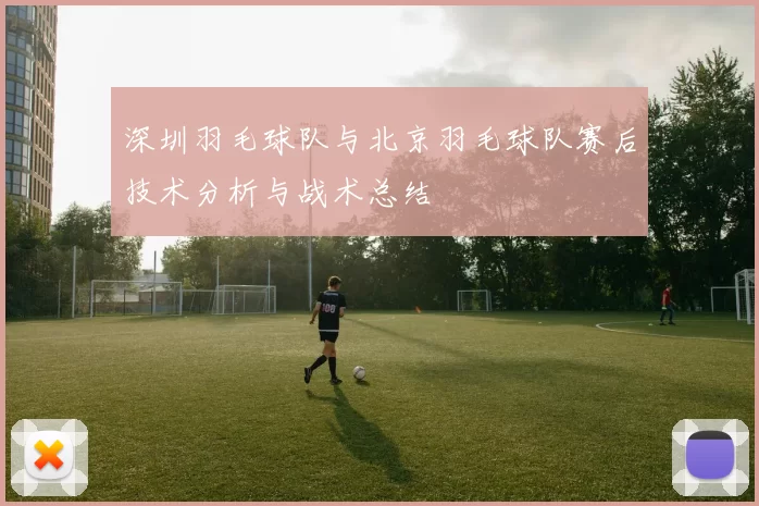 深圳羽毛球队与北京羽毛球队赛后技术分析与战术总结